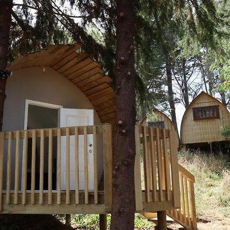 Hamilton Golf Lodge المظهر الخارجي الصورة